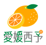 PCN 拠点